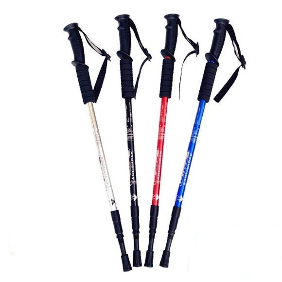 Trekking Poles